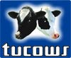 Download freeware and shareware software from Tucows!