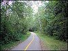 Trail in the River Valley