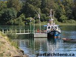 Rio Calle-Calle, Valdivia.